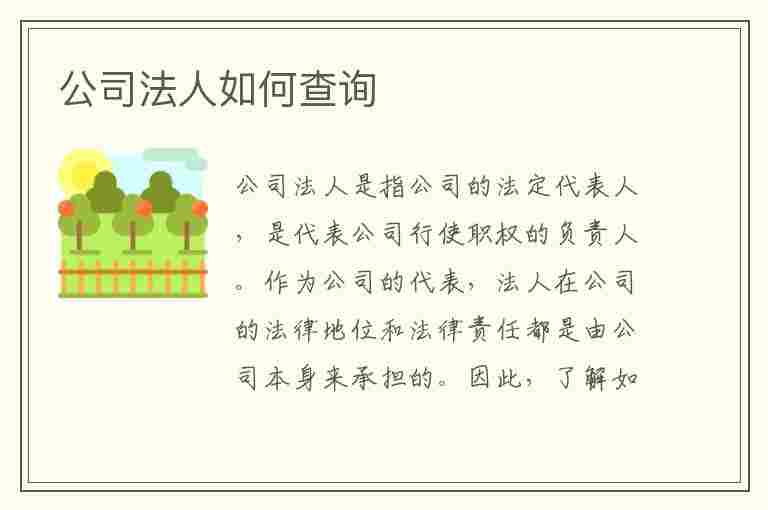 公司法人如何查询(公司法人如何查询公司账户流水)